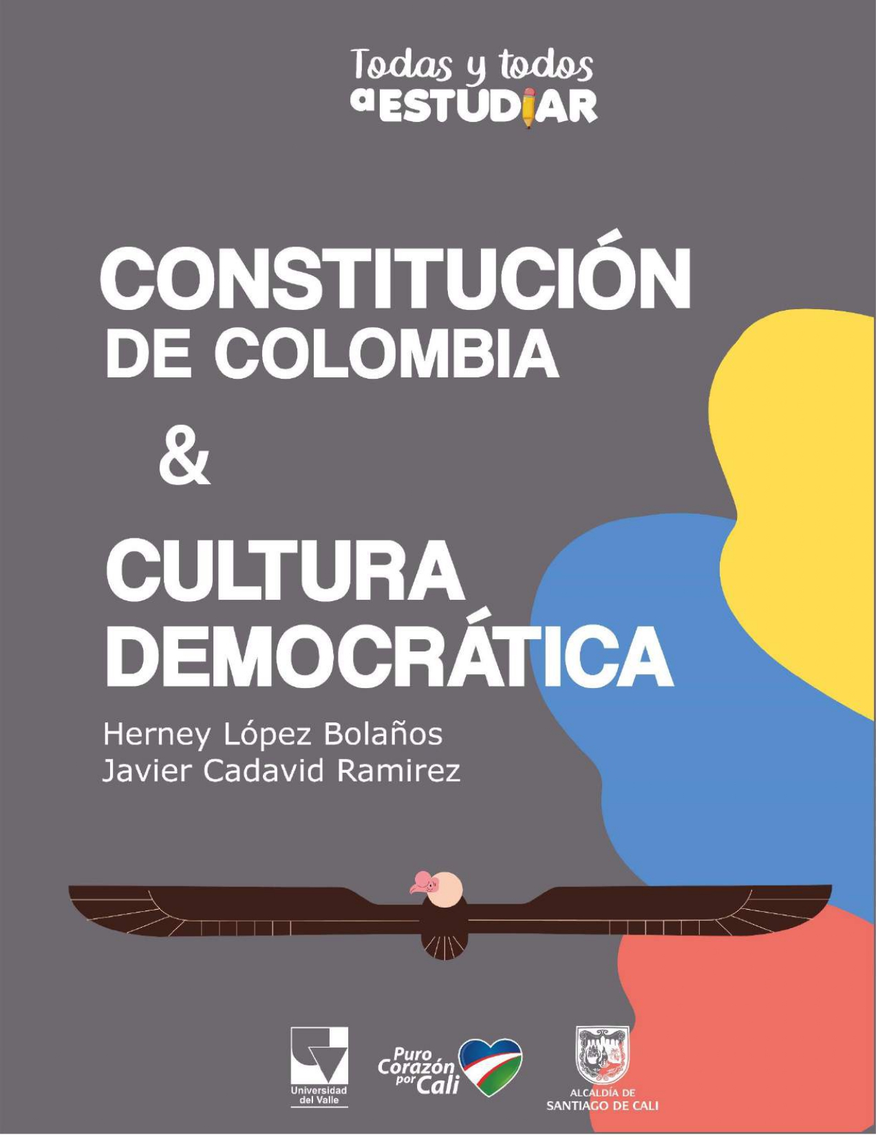 Módulo Constitución